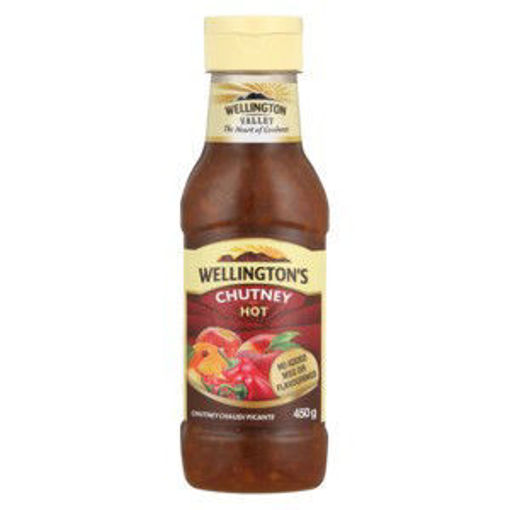 Wellingtons Chutney Hot 1 x 450G