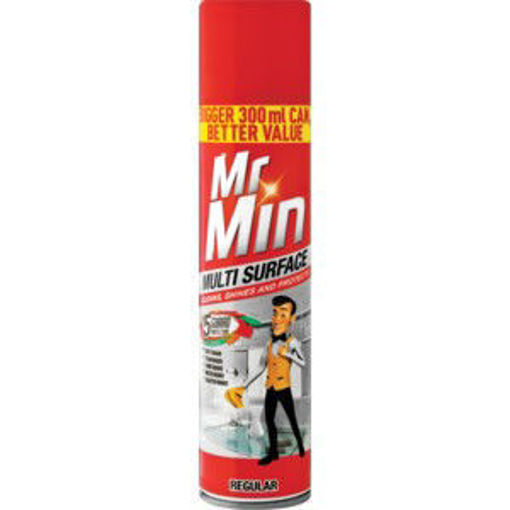 Mr Min Furn Polish Multi Surf Regular 1 x 300Ml