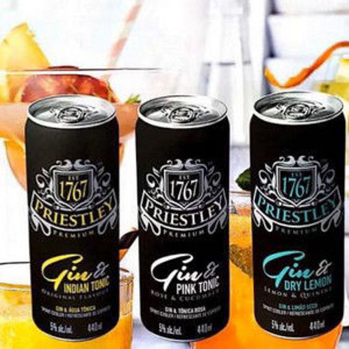 Priestly Gin & Tonic Orig Indian 6 x 440Ml