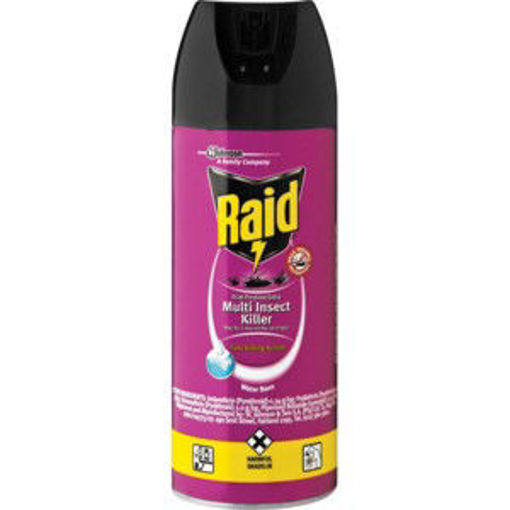 Raid Insect Air Kill Odourless 1 x 300Ml