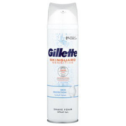 Gillette Skinguard S/foam 1 x 250Ml