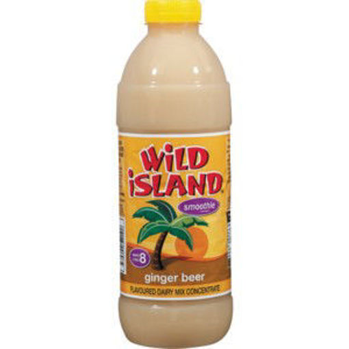 Wild Island Squash Ginger Beer 1 x 1L