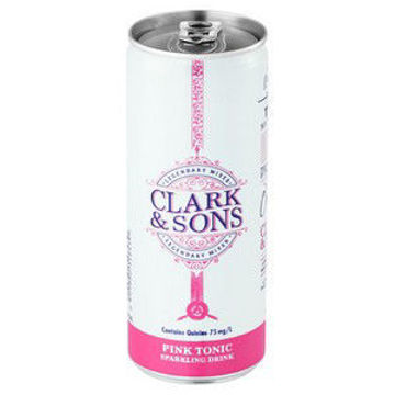 Clark & Sons CSD Can Soda Water 1 x 250Ml