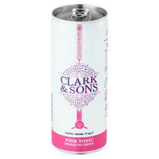 Clark & Sons CSD Can Soda Water 1 x 250Ml