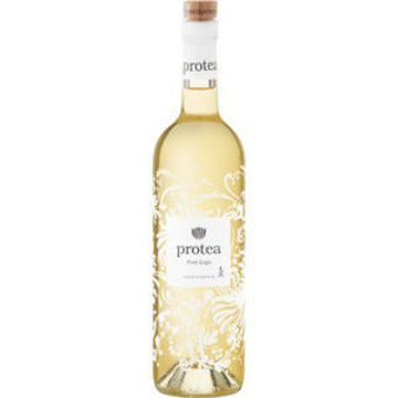 PROTEA PINOT GRIGIO P/GRIGIO 1 x 750ML