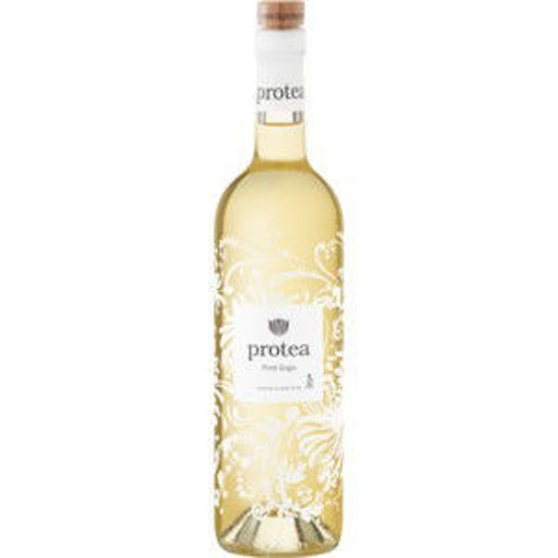 PROTEA PINOT GRIGIO P/GRIGIO 1 x 750ML