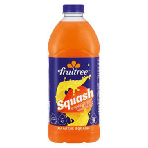 Fruitreee Squash Naartjie 1 x 1.75L