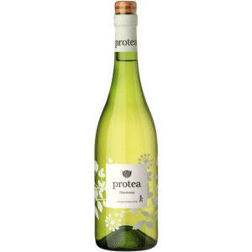 Protea Wine White Chardonay 1 x 750Ml